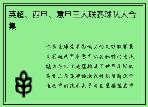 英超、西甲、意甲三大联赛球队大合集
