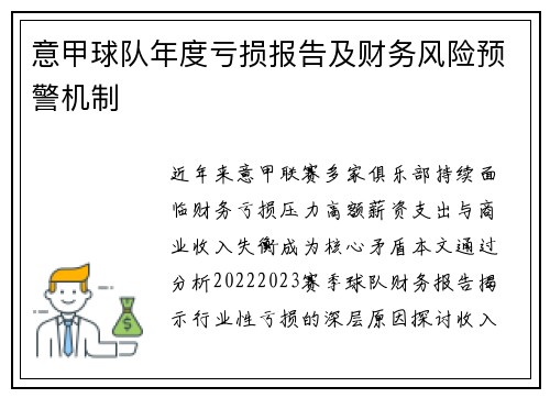 意甲球队年度亏损报告及财务风险预警机制